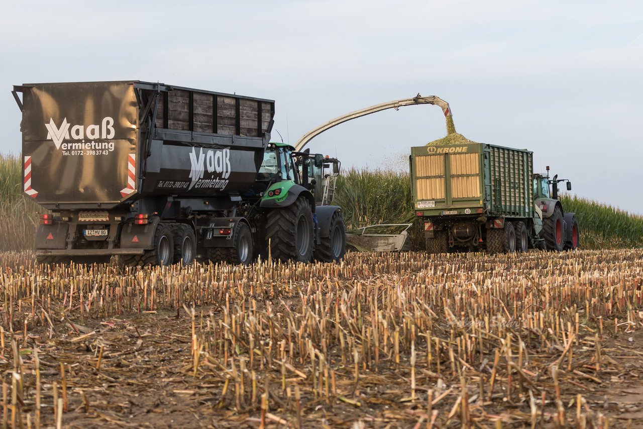 Bild 91 - Maisernte 2016